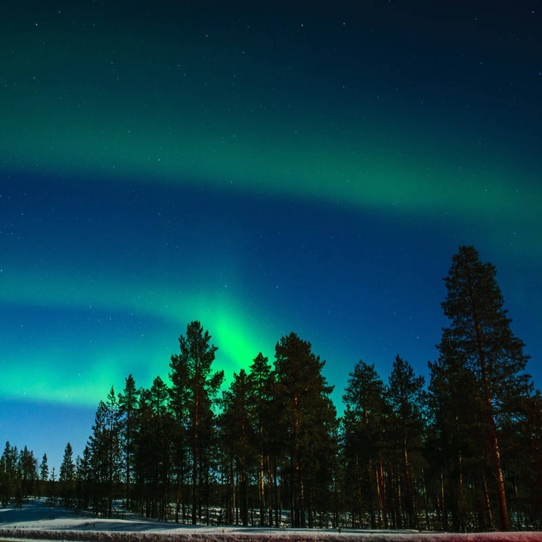 1.-10.3.2027 – Lappland, ein Wintertraum